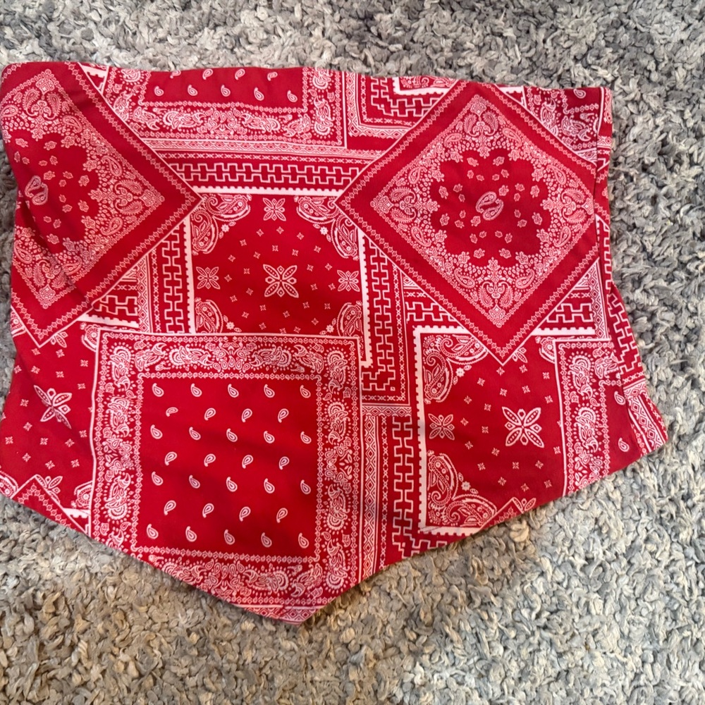 Red Bandana Print Crop Top